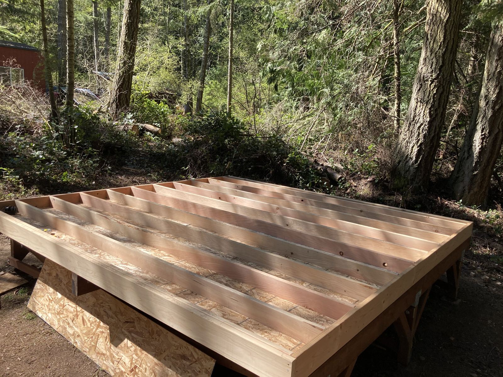 The floor going on. Joists run the length of the frame over a plywood underside, closed at the ends by a rim joist, sun coming through the trees in patches. A red outbuilding shows through the woods at the left.