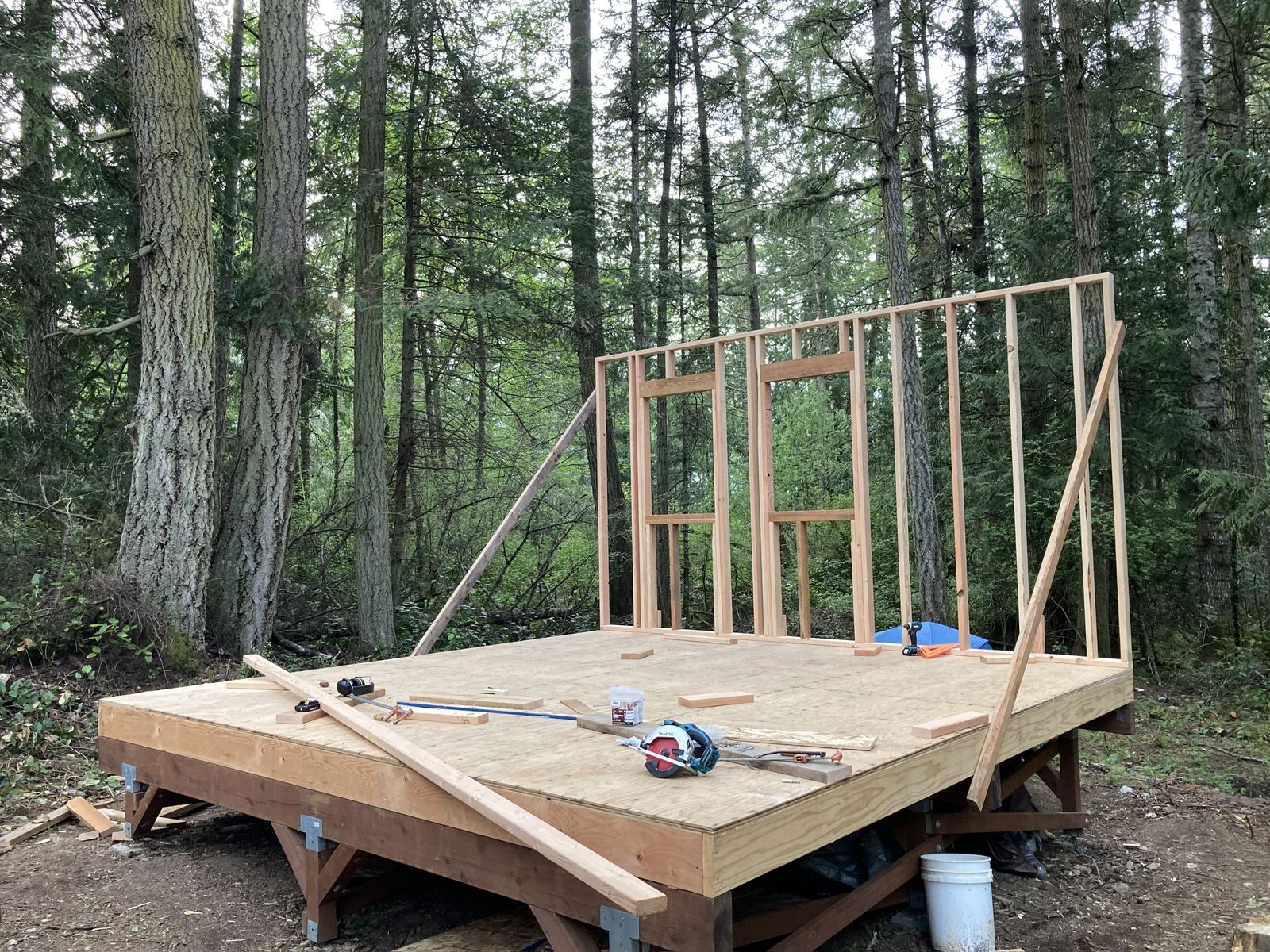 The first wall standing: a framed stud wall with two window openings, held up by long diagonal braces run down to the deck. A circular saw, a speed square, a bucket of screws and a ratchet strap lie on the plywood floor.