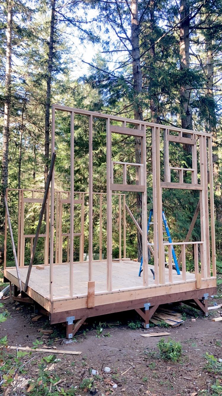 Three walls framed and standing, openings left for windows and a door, temporary diagonals bracing them inside and out. A blue step ladder stands in the middle of the floor.