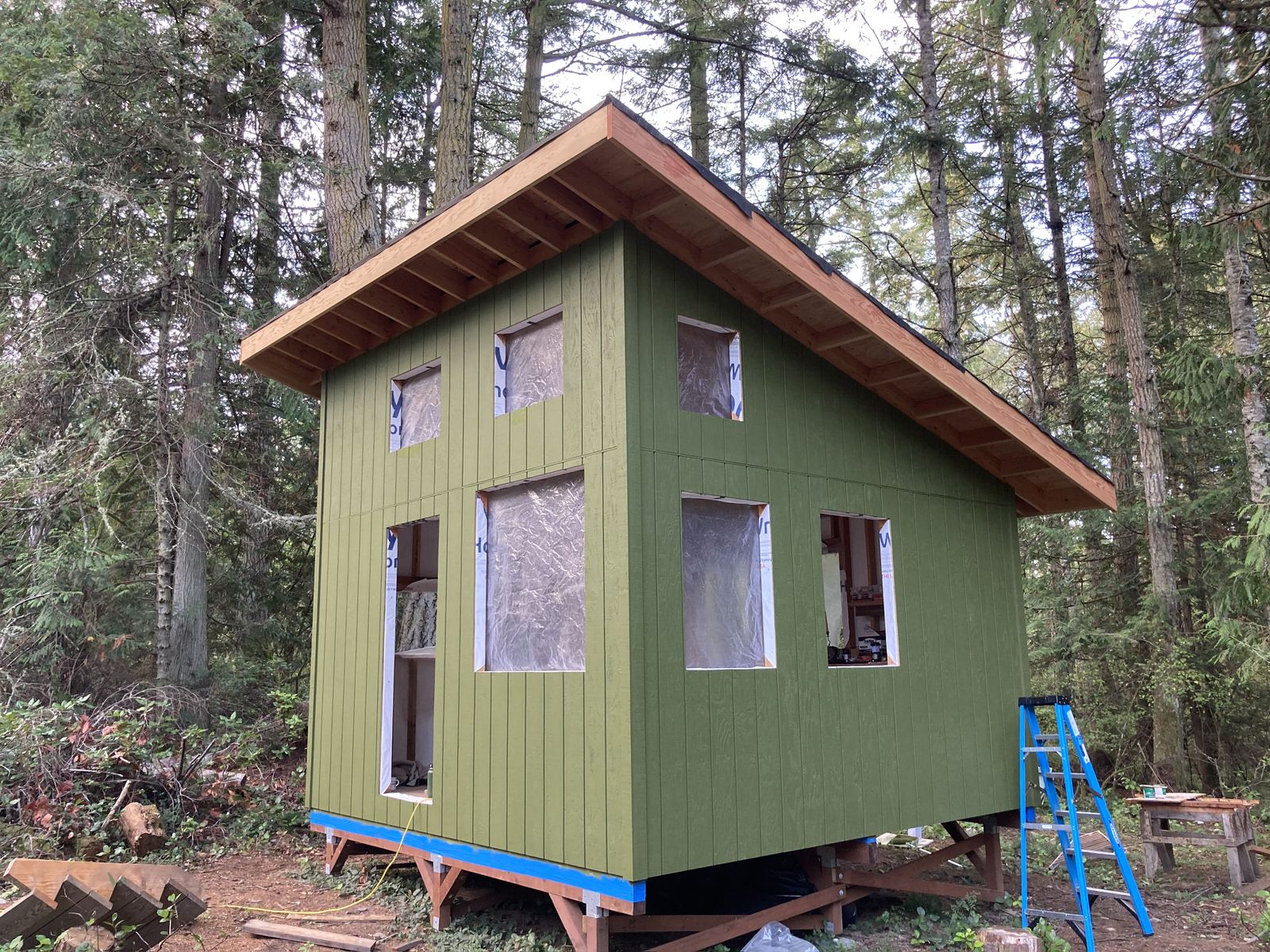 The cabin painted olive green, window openings still covered in plastic, the roof edged in bare fir, standing on its post foundation among tall firs. A blue step ladder and a work table sit at the right.
