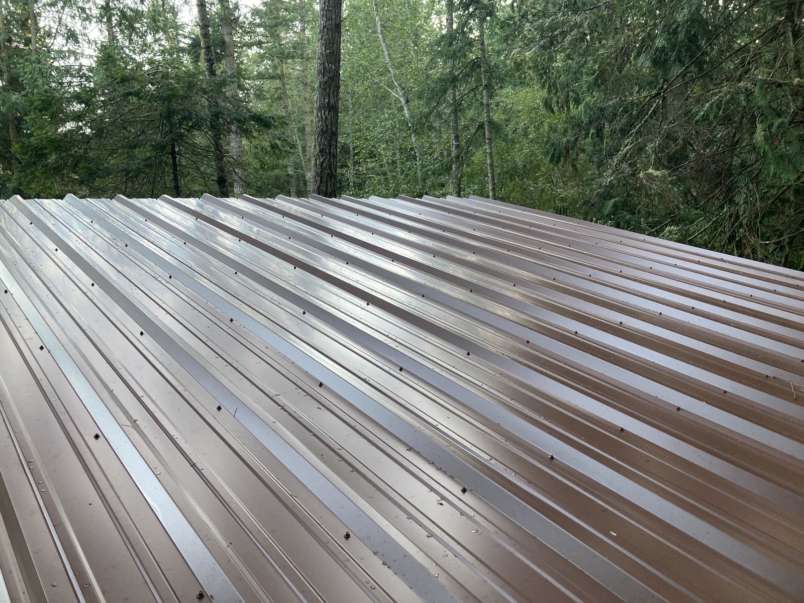 Close on the finished roof: ribbed brown metal panels running down the slope, screw heads in even rows, second-growth forest beyond the ridge.