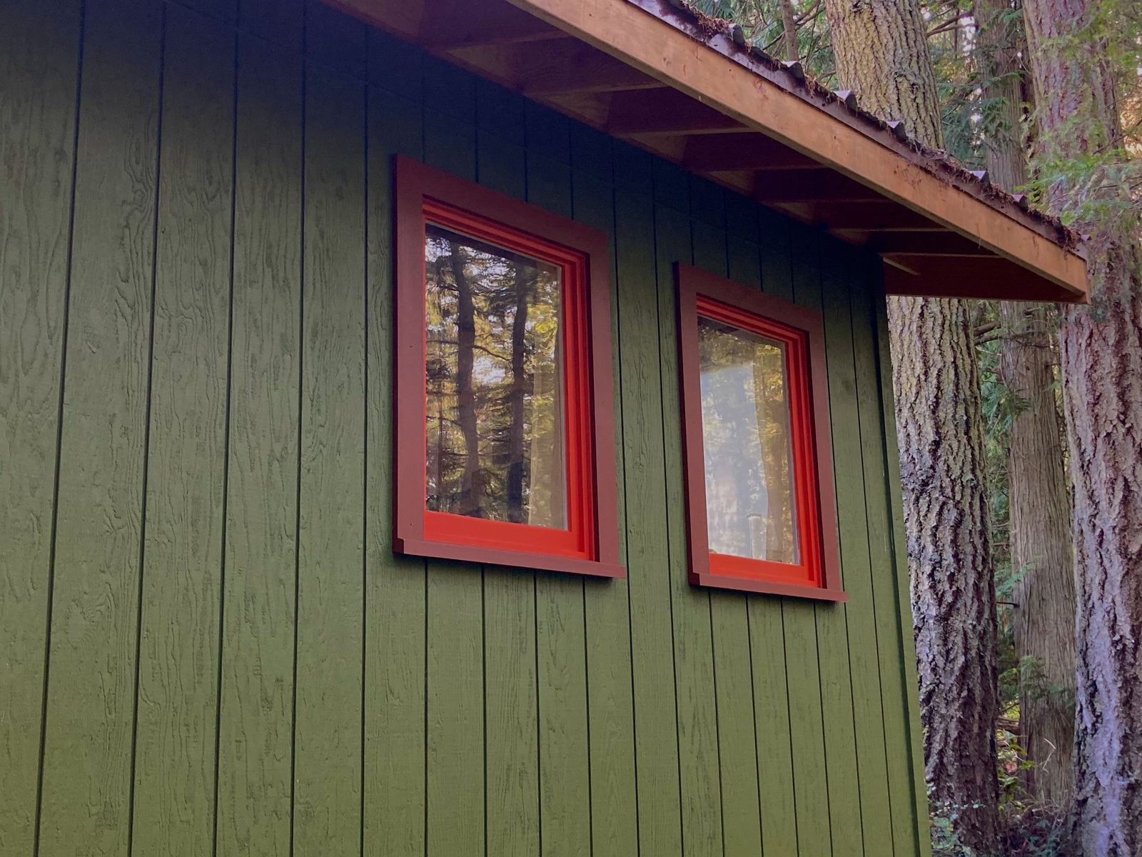 Two finished windows in the green wall under the roof overhang, cased in dark red with bright orange inner trim, forest reflected in both. A large Douglas fir trunk fills the right of the frame.