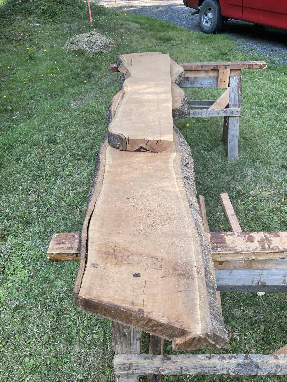 Two live-edge cherry slabs laid across sawhorses on a lawn, bark still on their edges, rough-sawn faces pale with sawdust. A red truck is parked on the gravel behind.