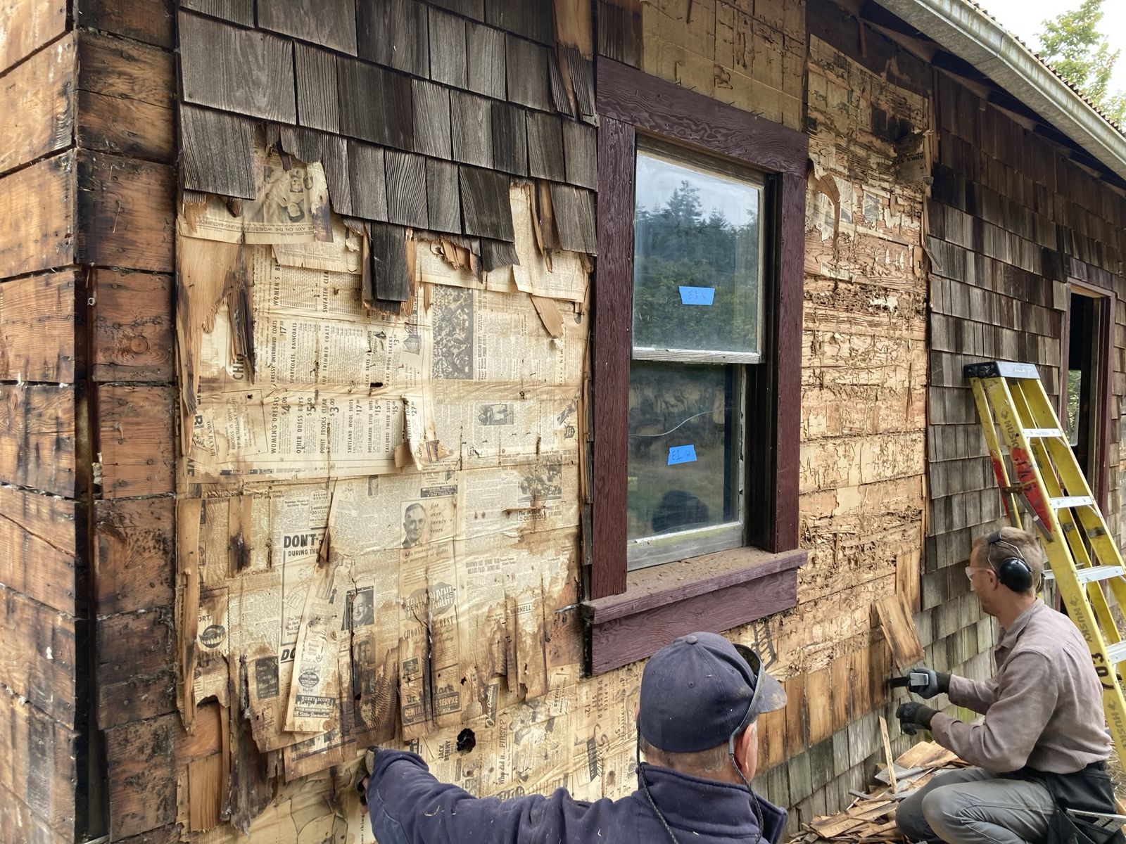 Two men stripping cedar shingles off the side of the house. Under the shingles the sheathing is papered with old newspaper, columns of clothing advertisements still legible — women’s dress coats, wool suits, prices in dollars. One man in a navy cap reaches into the paper at the left, the other kneels at the right in ear defenders with a pry bar. A yellow ladder leans against the wall and torn shingles lie in a pile below.