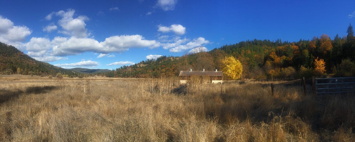 A valley in autumn, panoramic. Dry pale grass in the foreground running back to a low tin-roofed barn, hills of dark evergreen behind with patches of orange and yellow turning, deep blue sky and white cumulus. A steel farm gate stands at the right edge.