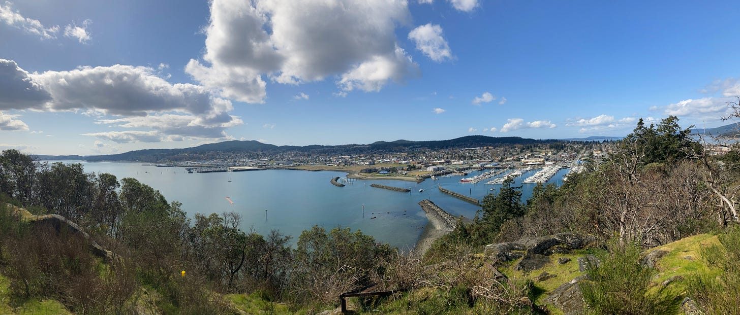 A town and its marina seen from a rocky bluff, panoramic. Calm blue-green water, a breakwater and rows of moored boats, low wooded hills behind the town, and in the foreground mossy rock, madrone and spring grass.