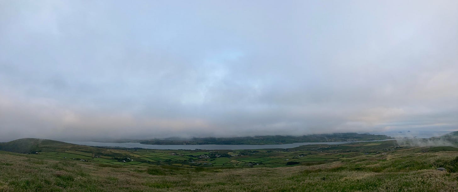 A wide view from a hillside under low cloud. Rough grass in the foreground falls away to a patchwork of small green fields divided by hedgerows, white farmhouses scattered among them, a long inlet of water running across the middle distance and headlands disappearing into cloud on the right. Pale overcast fills the top half of the frame.
