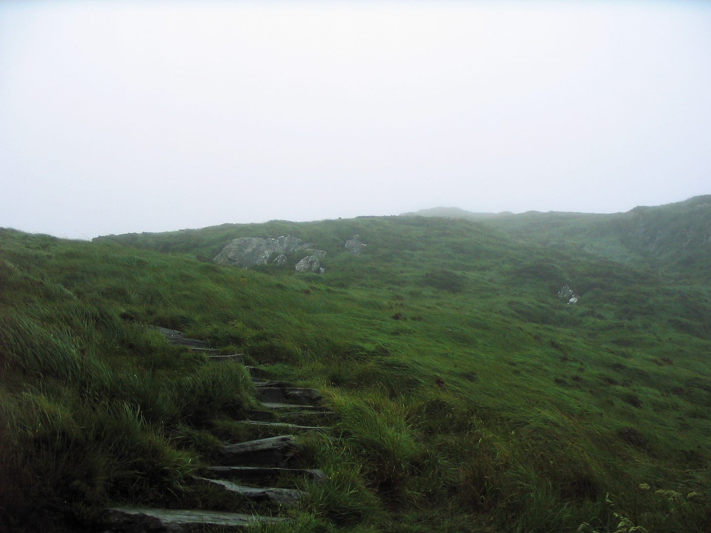 Stone steps set into a steep grass slope, climbing into white fog. The grass is soaked and wind-flattened, a few grey boulders break through it, and the ridge at the top dissolves into cloud.