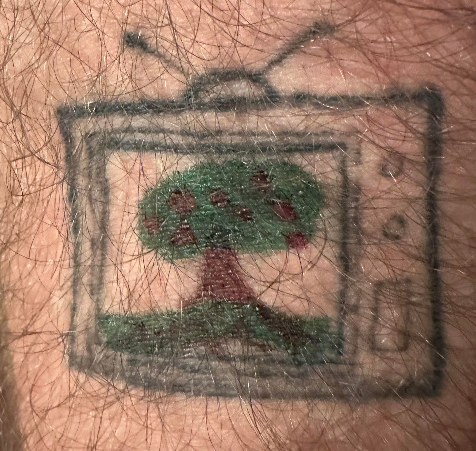 The television tattoo with an apple tree drawn on its screen in marker: a green canopy dotted with red apples, a dark red trunk, and a green hill along the bottom.